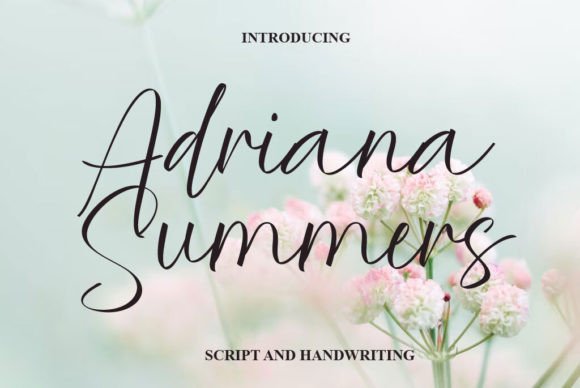 Adriana Summers Typeface Review for Campaign Design